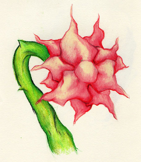 Flower one Sketch one