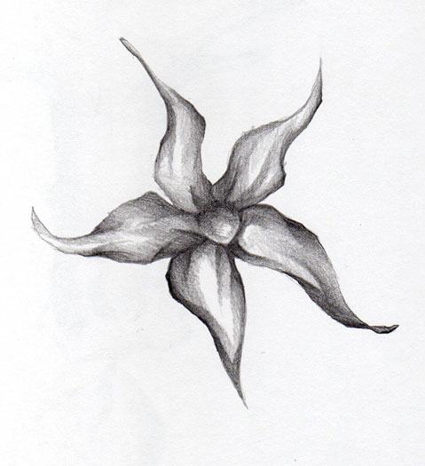 Flower One Simple Pencil Sketch